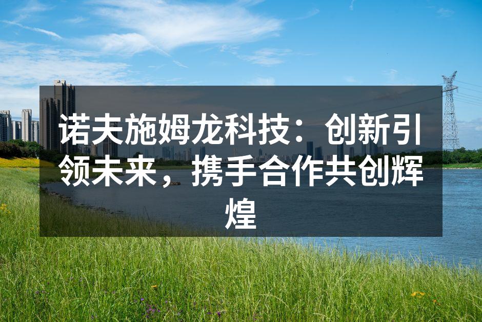 诺夫施姆龙科技：创新引领未来，携手合作共创辉煌